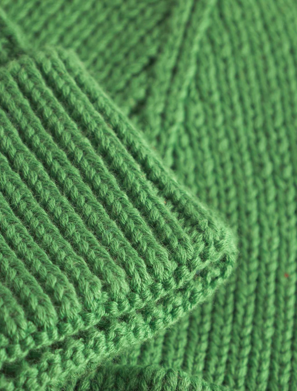 New Mount Beanie Green